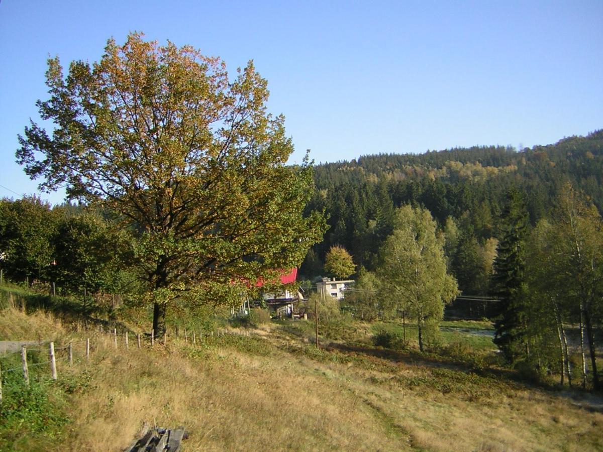 Pokoje Goscinne Angelika Wisła Exteriör bild